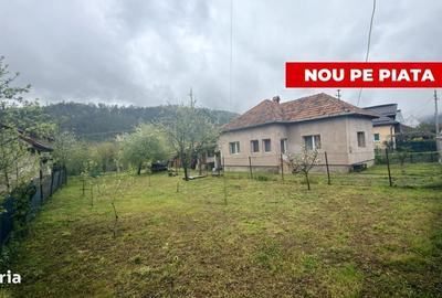 Casă cu 3 camere în Pietroasa - 8