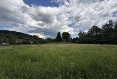 Teren Construcții intravilan de 3800 mp, în Provița de Sus - 14