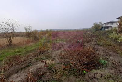 Teren agricol extravilan de 5000 mp, în Corbeanca - 16
