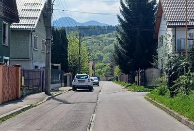 Oportunitate investitie,  4 apartamente la casa, Noua - 7