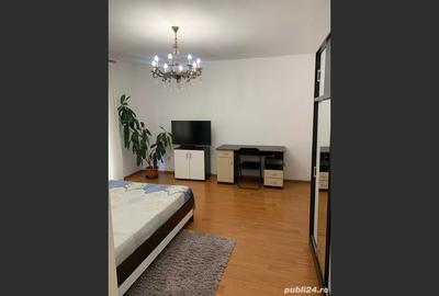 Apartment for sale with 1 Bedroom, Strada Victoriei, Baia Mare - 2