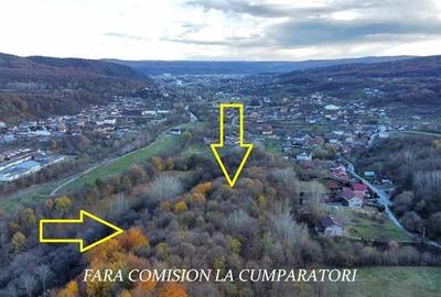 Teren agricol extravilan de 21437 mp, în Vlădesti - 9