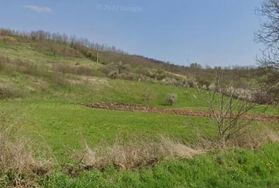Teren de 5272 mp, în General Berthelot - 5