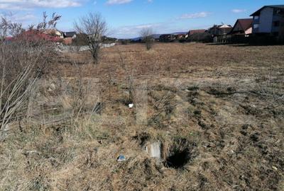 Teren intravilan 2600mp cu Puz aprobat P+3 zona Kaufland - 1