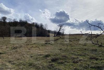 Teren extravilan in suprafata de 7500 mp la poalele Mesesului - 2