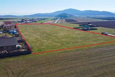 Teren intravilan 18.200mp, cu PUZ si PUD, ideal constructi case, Bod, Brasov. - 11