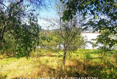 VLADESTI - TEREN 1174 MP - 9