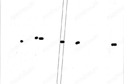 Teren Extravilan Albesti Paleologu, ID: R2586757 - 1