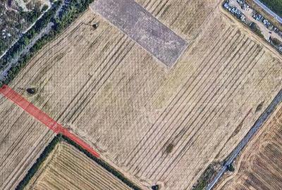 Teren de 4300 mp, în Jilava