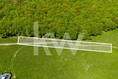 Teren agricol extravilan de 1500 mp, în Codlea - 2
