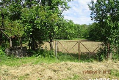Teren de 1270 mp, în Drajna - 6