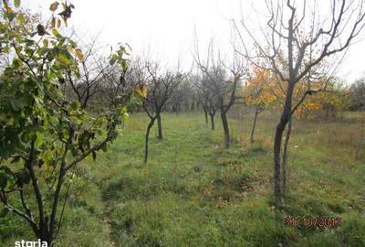 Teren de 4860 mp, în Central - 3