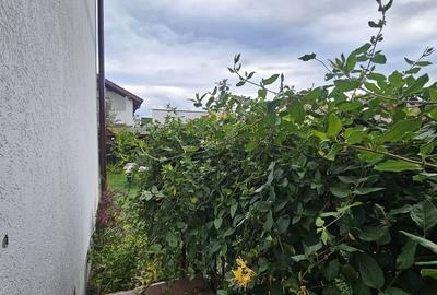 Apartament cu 2 camere decomandat în Ludoș - 3