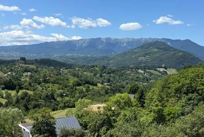 Spațiu comercial, în Bran - 7