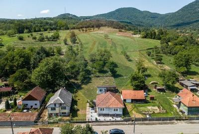 Casa de vanzare Certeju de Sus,jud Hunedoara - 20