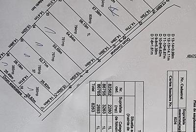 Vand loturi teren intravilan Bascov, Arges - 9