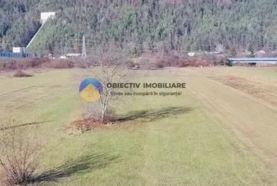 TEREN intravilan 4488 mp - PANGARA?I - 2