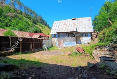 Casa traditionala din lemn cu 930 mp teren in Rasinari langa Sibiu - 11
