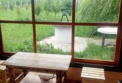 Teren de 2350 mp, în Burdujeni - 4