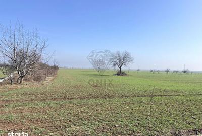 Teren de 3000 mp, în Central - 3