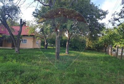 Casă de vânzare, 3 camere, langa manastirea Runc - 4