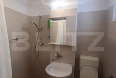 Apartament cu 2 camere semidecomandat în Careiului - 2