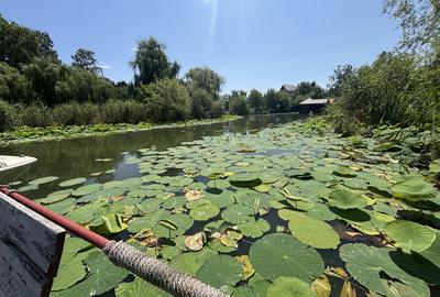 Teren+CASA 8000mp Deschidere 36ml Lacul Snagov - 2