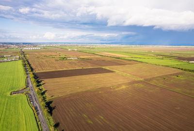 Teren agricol extravilan de 50000 mp, în Sud - 2