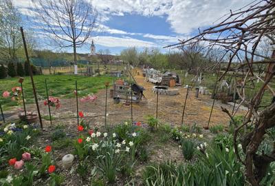 Casă cu 2 camere în Gruni - 1