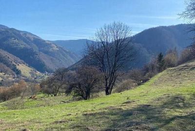 Teren de 20905 mp, în Sud - 4