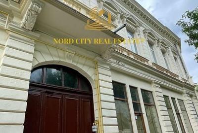 Vanzare Cladire Istorica-Centrul vechi-Unirii-Ultracentral-Investite - 4