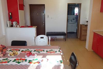 Apartament cu 2 camere decomandat în Gării - 13