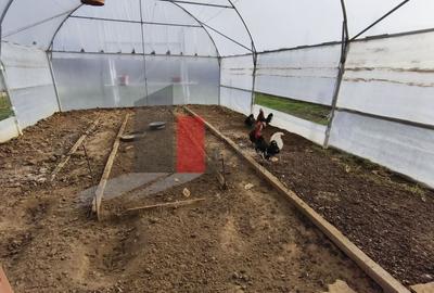 Casa curte cu teren 1600 mp Manolache - 8