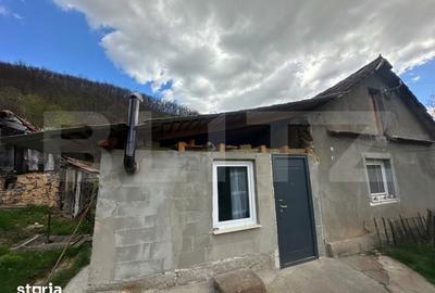 Casă cu 4 camere cu Teren 12186 Mp în Rapoltu Mare - 4
