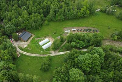 Casă cu 4 camere în Horea - 6