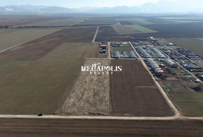 Teren Construcții intravilan de 428 mp, în Hărman - 6