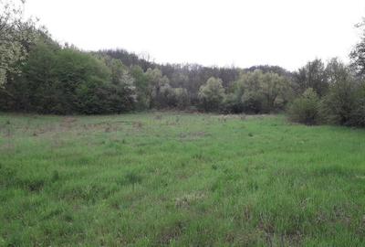 Teren de 6000 mp, în Central - 2