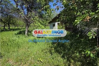 Vindem teren intravilan 3600 mp Calinesti , deschidere 58 m - 2