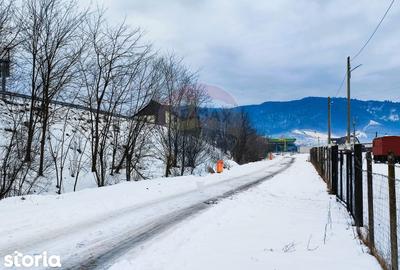 Teren de 9574 mp, în Iacobeni - 2