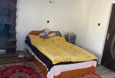 Casă în Bertea - 4
