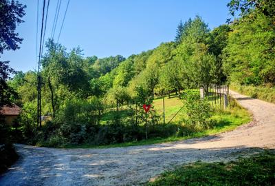 CASA si 2393 mp TEREN INTRAVILAN, Muntii Apuseni, NEGRENI - CLUJ la 1 km de E60 - 39