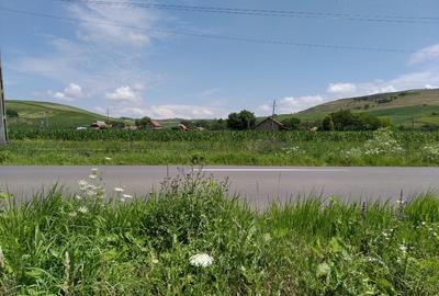 Teren Construcții intravilan de 6600 mp, în Mărășești - 5