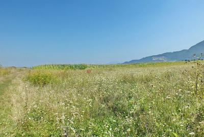 Pretabil Investitie - 4