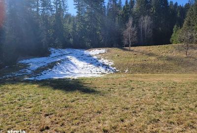 Teren de 4200 mp, în Sucevița - 3