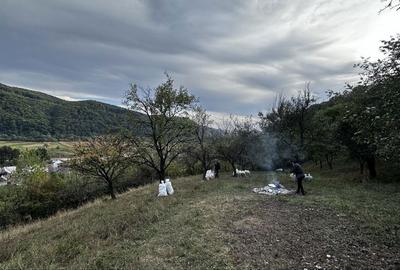 Spațiu comercial, în Salva - 2