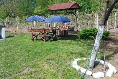 Casă cu Teren 1400 Mp în Mehadia - 2