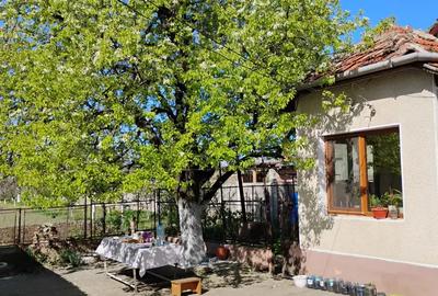 Vand casa gospodarie in Utvin, la 11km de centru Timisoarei - 2