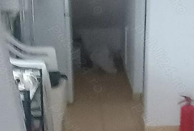 Spatiu comercial de inchiriat - 4