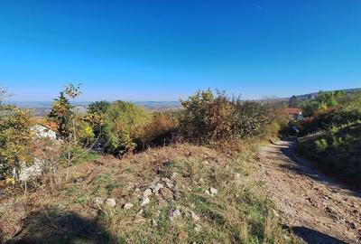 Teren Intravilan | Sat Gheorghieni, Cluj | 1440 mp | Investitie - 8