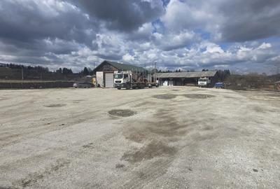 Teren de 1000 mp, în Panaci - 3